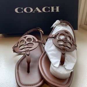 Coach sandal